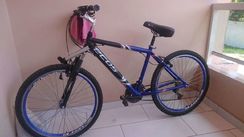 Bicicleta Ecos Aro 26