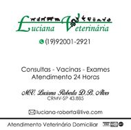 Veterinário 24 Horas