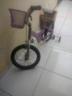 Bicicleta Infantil Feminina Americana