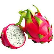 Mudas de Pitaya Whats App