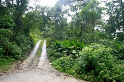 Venda de Terrenos em Boiçuganga