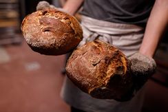 Pão com Levain Vai Poder Fazer Pães Incríveis!