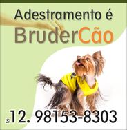 Adestramento de Cachorro em São José dos Campos