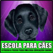 Escola para Cães - Adestramento