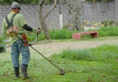 Limpeza de Terreno