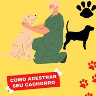 Como Adestrar Seu Cachorro