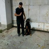 Passeador de Cães