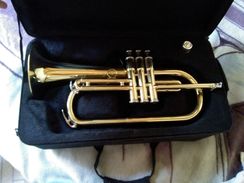 Flugelhorn em Si Bemol Lindo