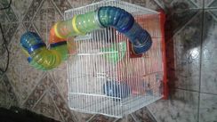 Gaiola para Hamster