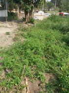 Vendo Terreno em Santa Paula - Maricá