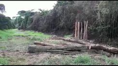 Fazenda no Mato Grosso para Criar Gado