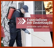 Empresa de Dedetização – Controle de Pragas na Grande SP