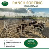 Pista de Ranch Sorting e Redondel