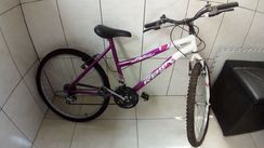 Bicicleta Rbw Aro 26 Roxa