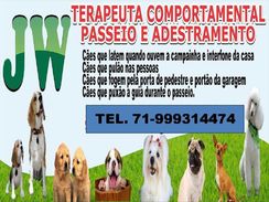 Curso para Passeadores de Cães