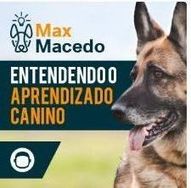 Aprenda a Falar com o Seu Cachorro