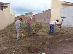 Corte/poda e Manutenção de Arvores