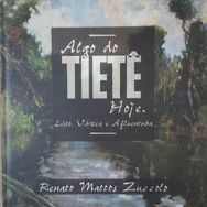 Algo do Tietê Hoje. Leito, Vérzea e Afluentuba