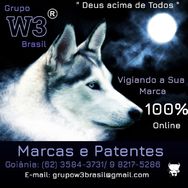 Registro de Marcas e Patentes Grupo W3 Brasil Goiânia