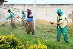 Serviço de Aparar Grama, Roçagem,poda de Grama,jardinagem em Geral