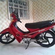 Shineray Phoenix 50cc