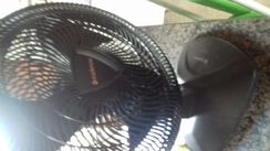 Ventilador Eros Tamanho Grande