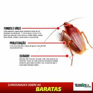 Dedetização e Desratização