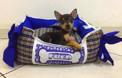 Cama Pet Personalizada