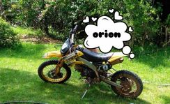 Moto Orion