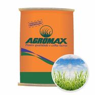 Sementes de Capim Panicum Maximum Aruana 10 Kg