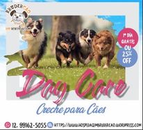 Creche Canina em São José dos Campos