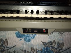 Teclado Yamaha Psr 1100 Usado