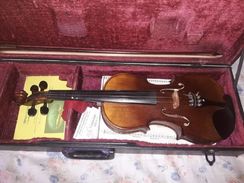 Violino Eagle Ve 244 4/4