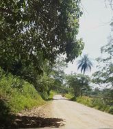 Terreno no Interior (sem Padrão de Construção)