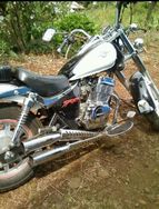 Custon Shineray XY Bolt 250 Cc