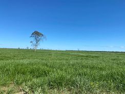 Fazenda Estruturada