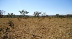 Vendo uma Fazenda de 2730 Hectares