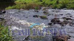 Fazenda em Una Ba. 180 Hectares