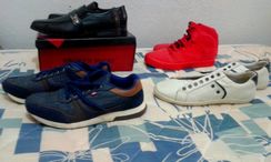 Sapato Social / Sapatenis / Tenis