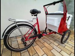 Bicicleta Triciclo