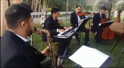 Musicos para Cerimonias