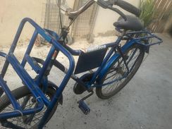 Bicicleta de Carga