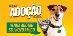 Feira de Adoção de Animais