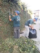 Jardineiro em Guarulhos Zap