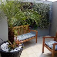 Jardim Vertical com Plantas Naturais 2x2