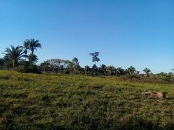 Fazenda às Margens do Rio Araguaia no Pará