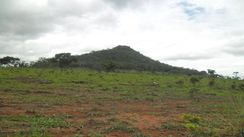 Vendo uma Fazenda de 1000 Hectares