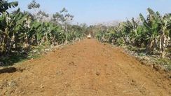 Terreno para Chácara, de 1000 m2 à Venda em Ana Dias, Peruibe!