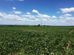 Fazenda 37 Alqueires Avaré em Lavoura de Soja