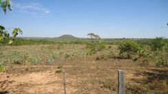 Vendo uma Fazenda de 1500 Hectares